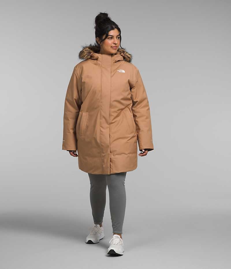 The North Face Plus Arctic Parka Kadın Kahverengi | ISTANBUL ALZH
