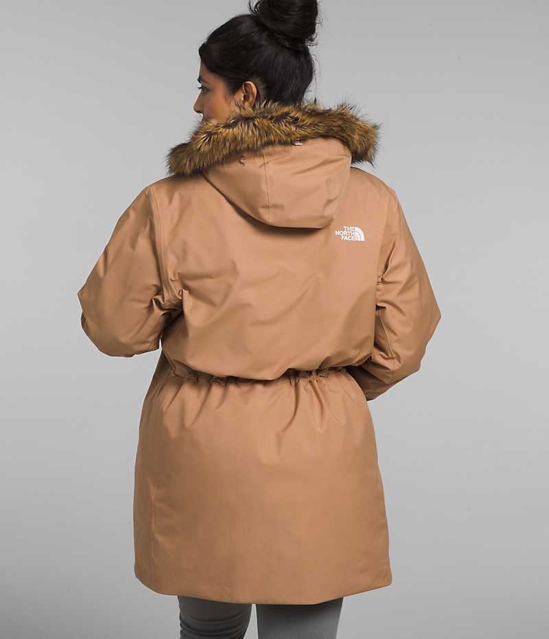 The North Face Plus Arctic Parka Kadın Kahverengi | ISTANBUL ALZH