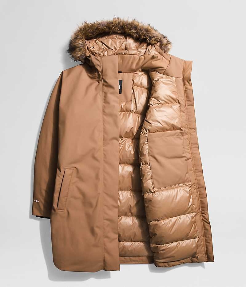 The North Face Plus Arctic Parka Kadın Kahverengi | ISTANBUL ALZH