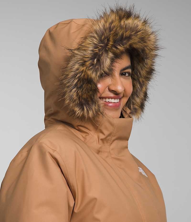 The North Face Plus Arctic Parka Kadın Kahverengi | ISTANBUL ALZH