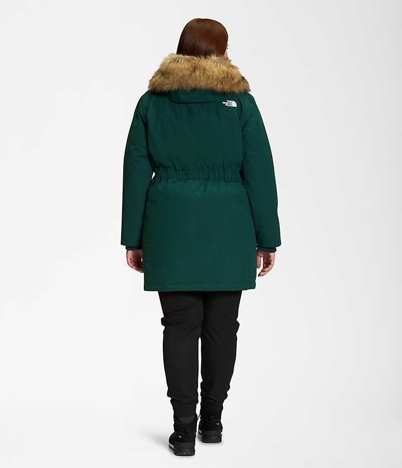 The North Face Plus Arctic Parka Kadın Yeşil | TÜRKIYE XIDO