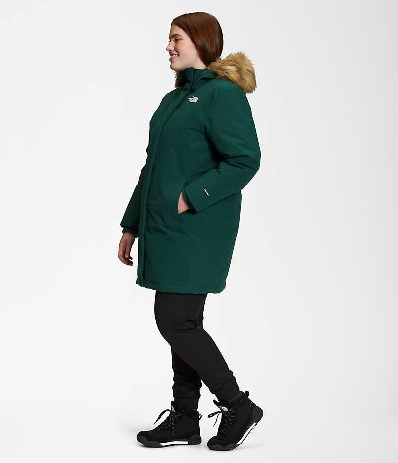 The North Face Plus Arctic Parka Kadın Yeşil | TÜRKIYE XIDO