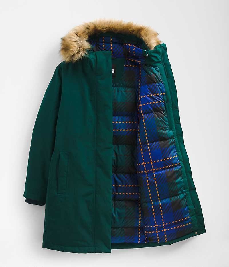 The North Face Plus Arctic Parka Kadın Yeşil | TÜRKIYE XIDO