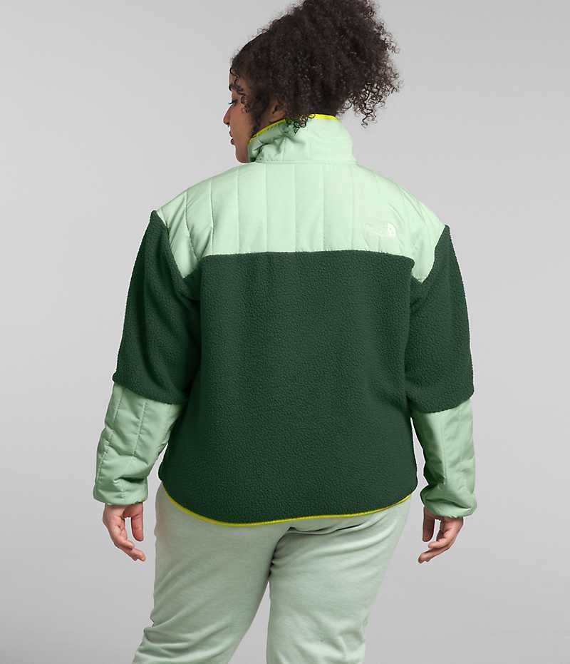 The North Face Plus Cragmont Fleece ¼-Snap Sweatshirt Kadın Yeşil | ISTANBUL MPAH