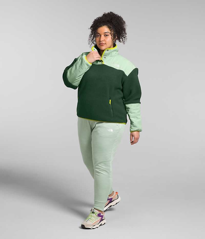 The North Face Plus Cragmont Fleece ¼-Snap Sweatshirt Kadın Yeşil | ISTANBUL MPAH
