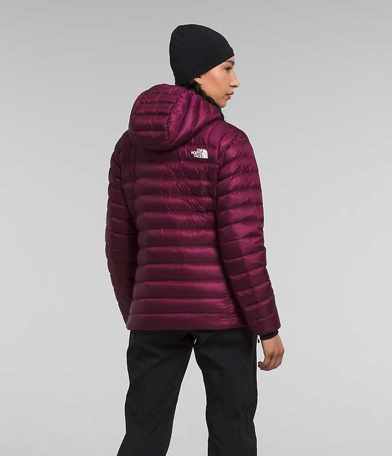The North Face Summit Series Breithorn Hoodie Aşağı Ceket Kadın Bordo | TÜRKIYE XOQC