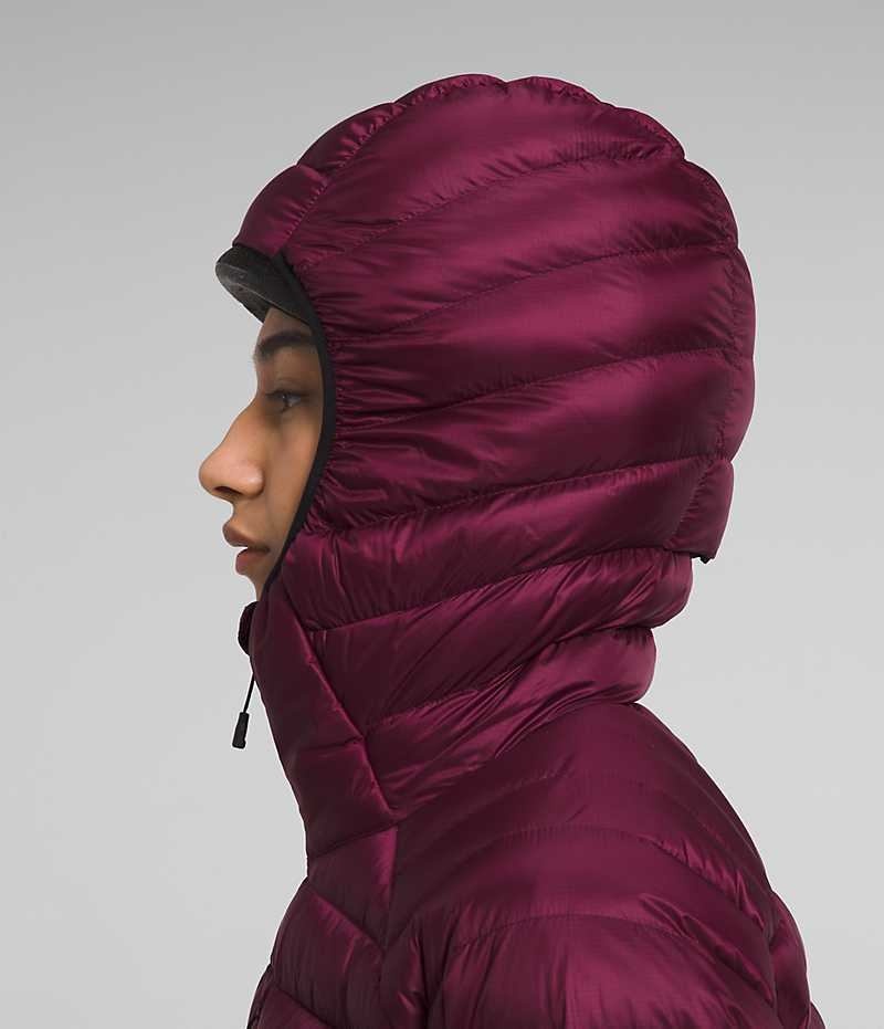The North Face Summit Series Breithorn Hoodie Aşağı Ceket Kadın Bordo | TÜRKIYE XOQC