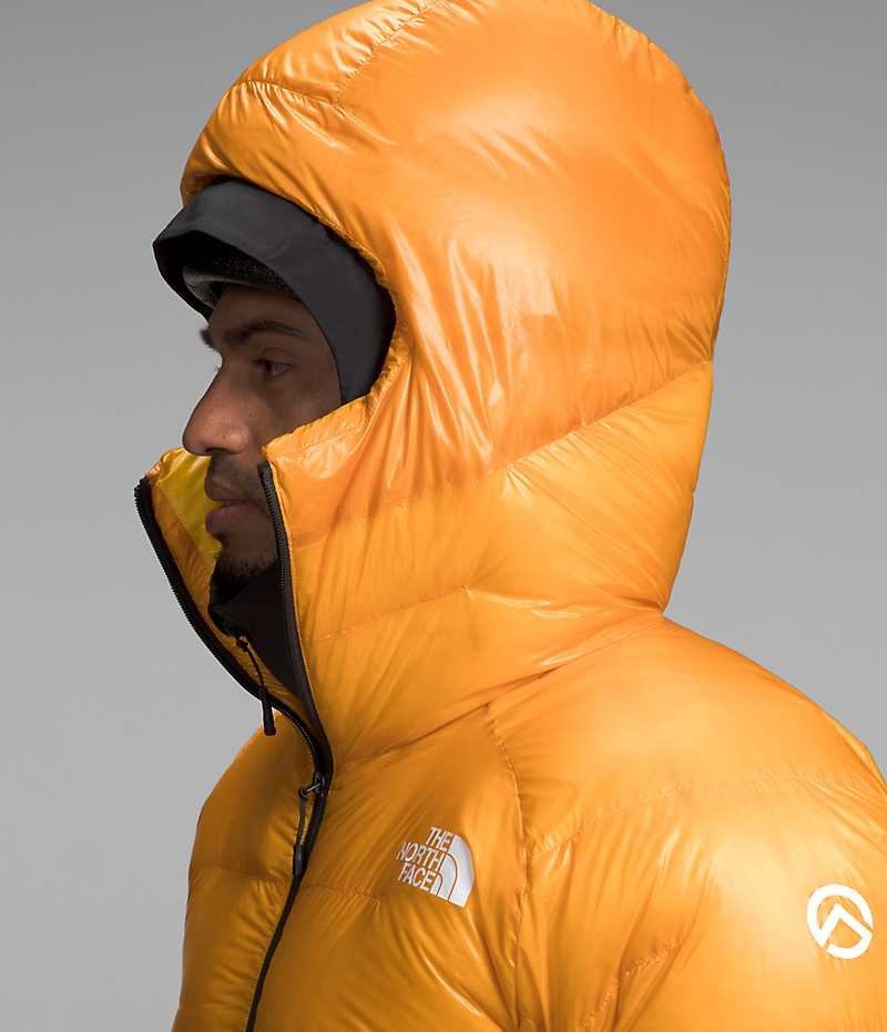 The North Face Summit Series Pumori Down Parka Erkek Altın | ISTANBUL QUZM