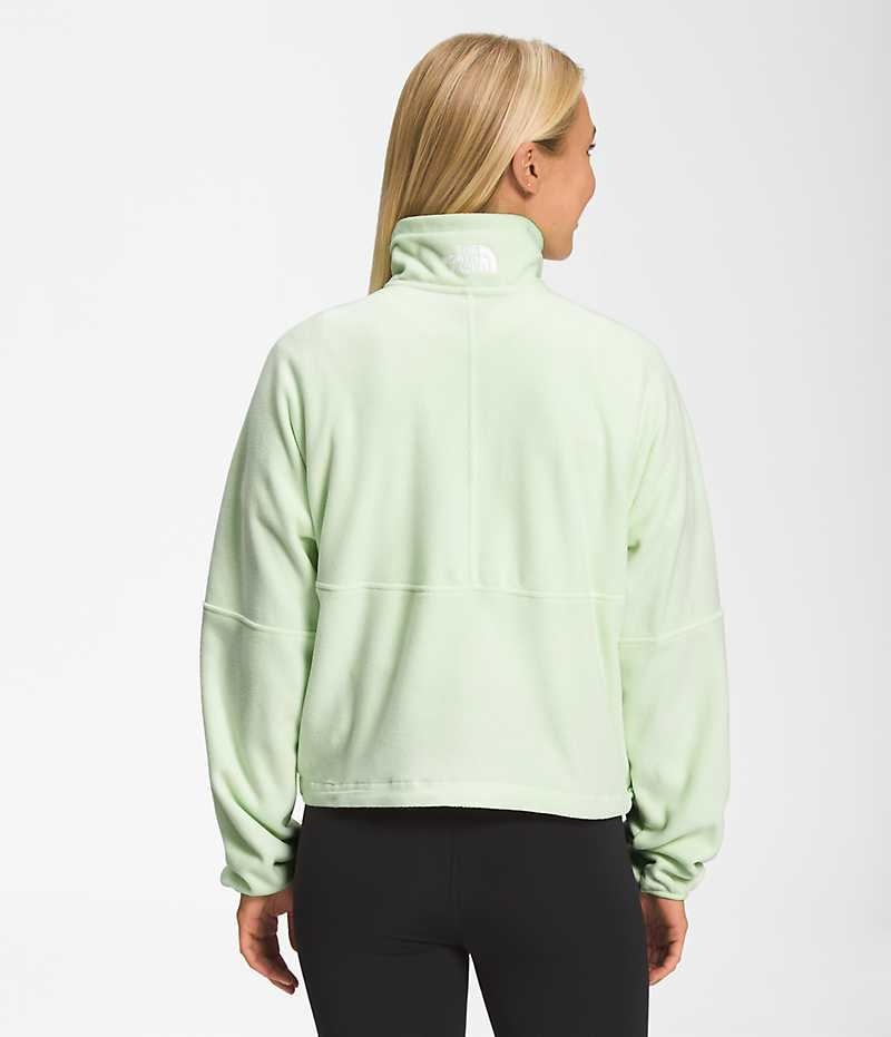 The North Face TNF™ Polartec® 100 ¼-Zip Polar Ceketler Kadın Nane | TÜRKIYE WPGK