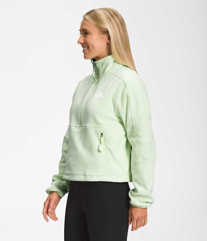 The North Face TNF™ Polartec® 100 ¼-Zip Polar Ceketler Kadın Nane | TÜRKIYE WPGK