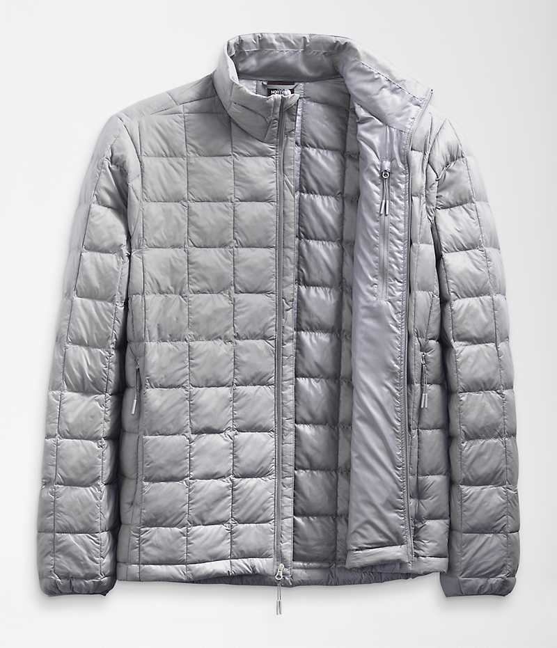 The North Face ThermoBall™ Eco 2.0 Aşağı Ceket Erkek Gri | ISTANBUL RGSH