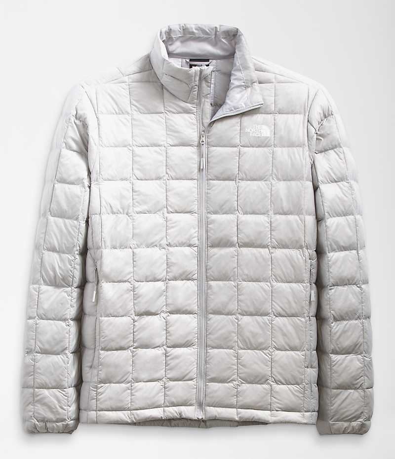 The North Face ThermoBall™ Eco 2.0 Aşağı Ceket Erkek Gri | ISTANBUL RGSH